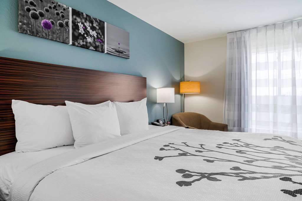 Sleep Inn & Suites Near Westchase Houston Rom bilde