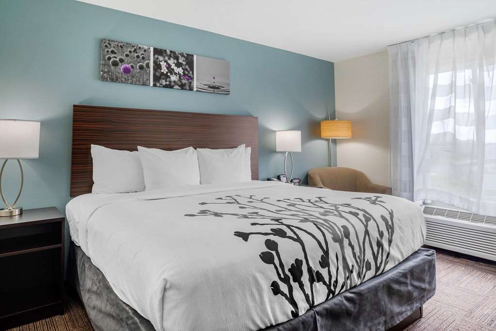 Sleep Inn & Suites Near Westchase Houston Rom bilde