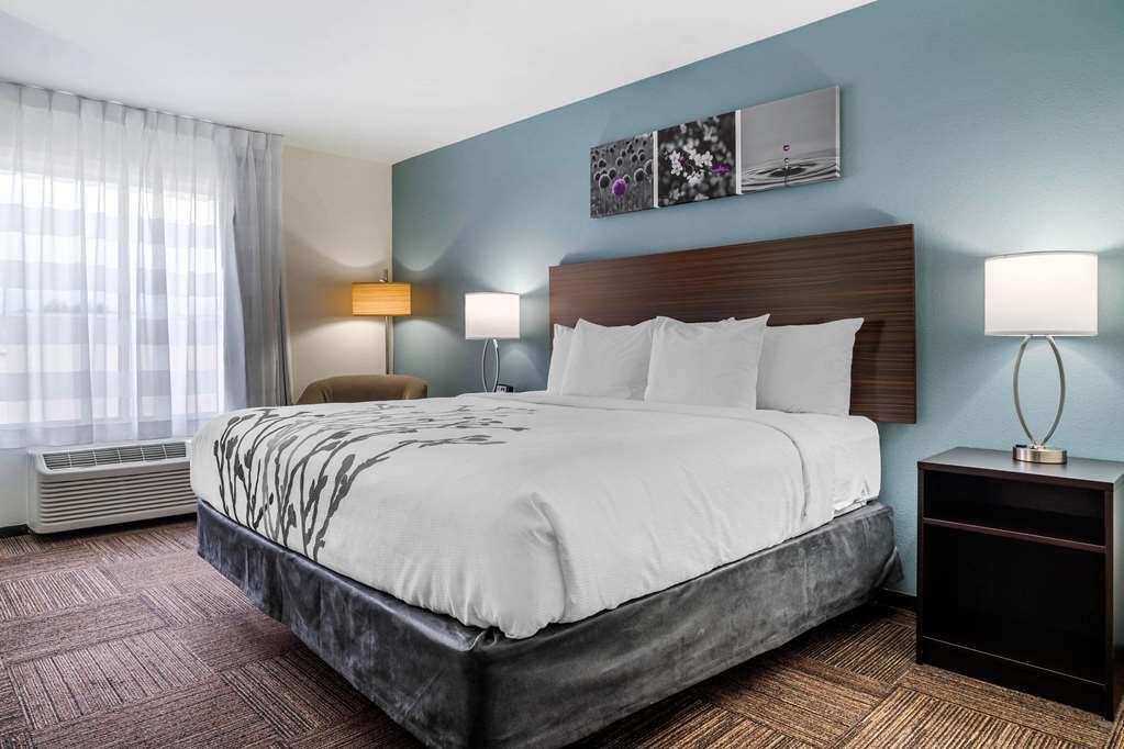 Sleep Inn & Suites Near Westchase Houston Rom bilde
